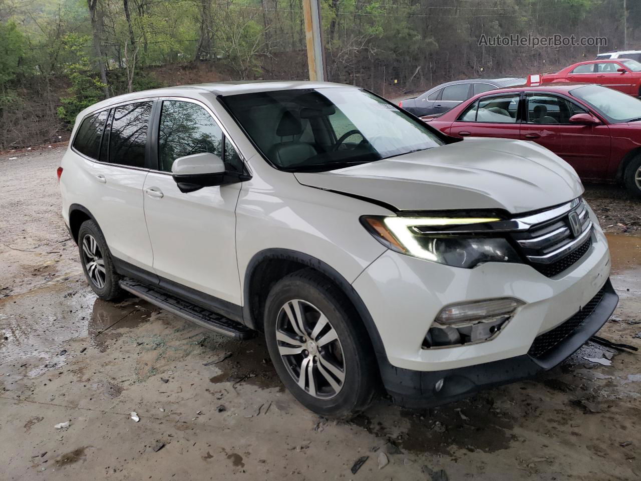 2016 Honda Pilot Exl Белый vin: 5FNYF6H64GB053017