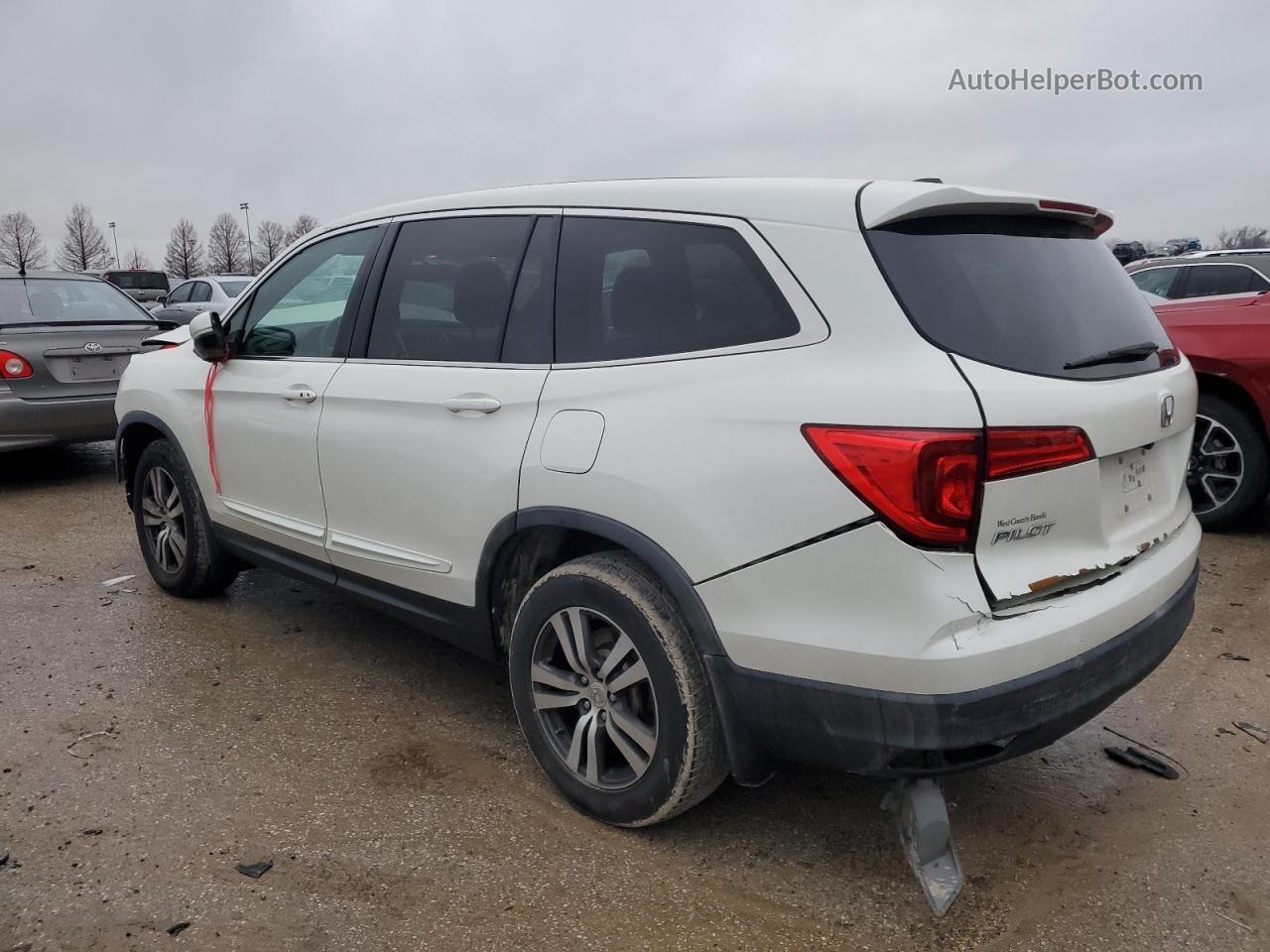 2016 Honda Pilot Exln Белый vin: 5FNYF6H75GB038079