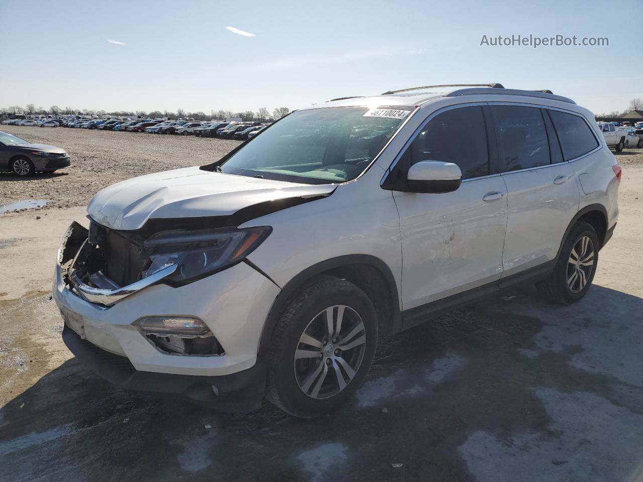 2016 Honda Pilot Exl Белый vin: 5FNYF6H80GB027791