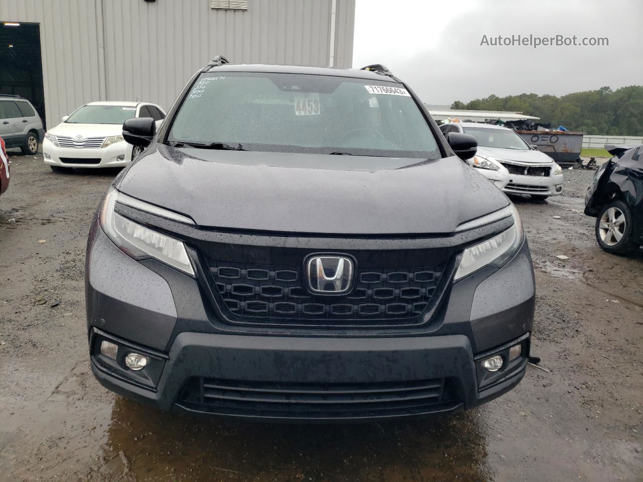 2019 Honda Passport Elite Gray vin: 5FNYF8H03KB004651