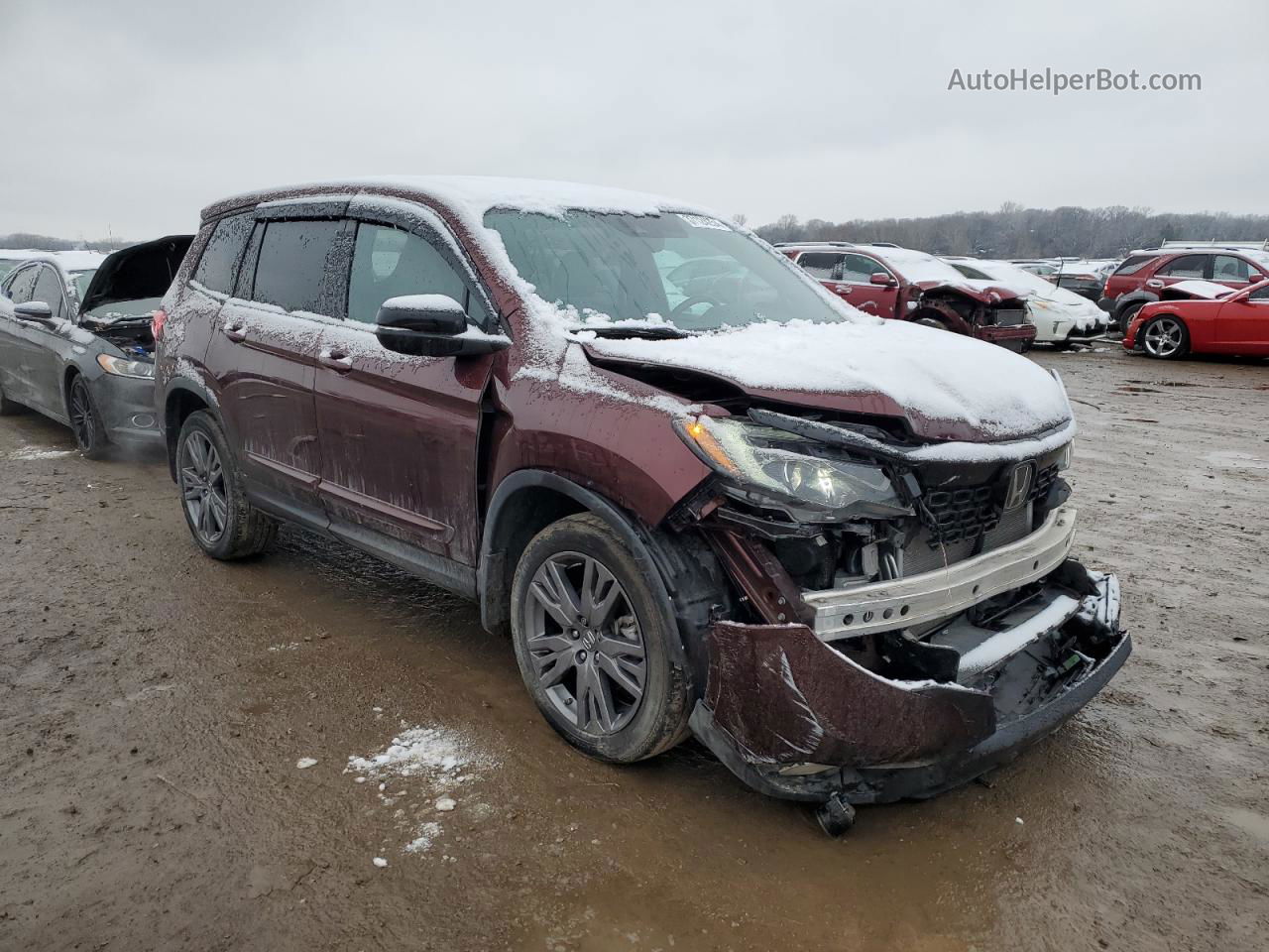 2019 Honda Passport Exl Burgundy vin: 5FNYF8H52KB023929