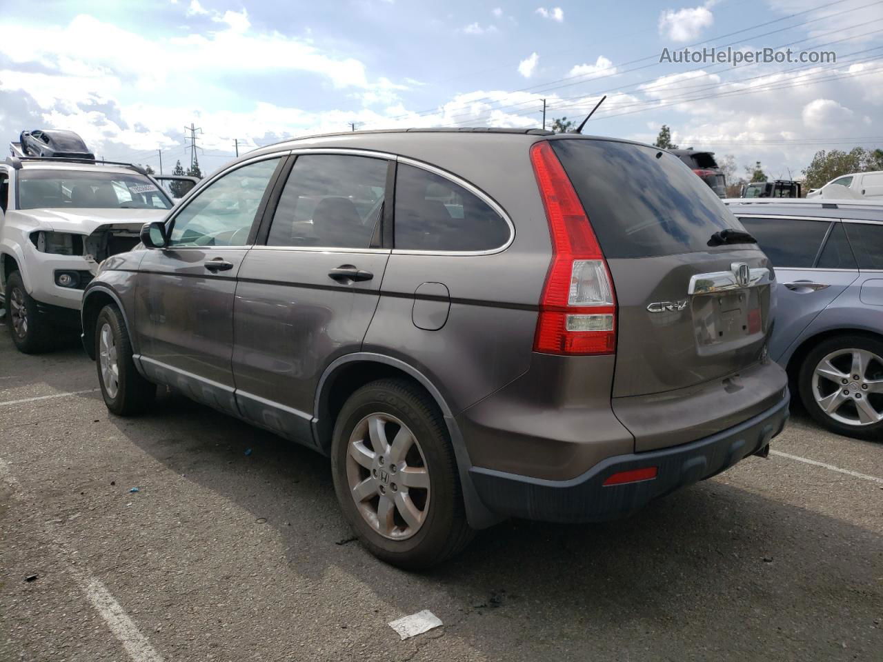 2009 Honda Cr-v Ex Brown vin: 5J6RE38579L017572