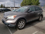 2009 Honda Cr-v Ex Brown vin: 5J6RE38579L017572