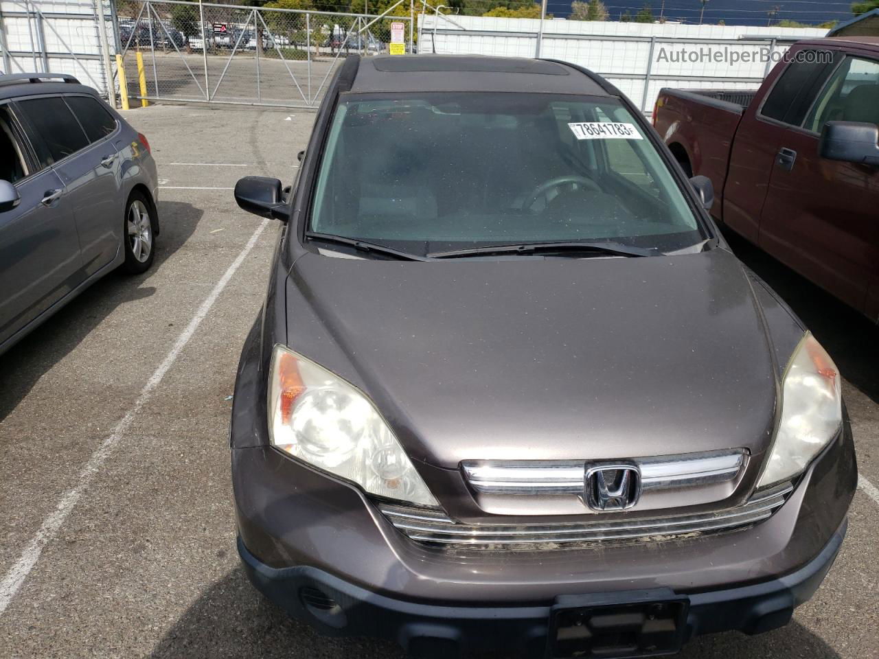 2009 Honda Cr-v Ex Brown vin: 5J6RE38579L017572