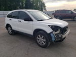 2009 Honda Cr-v Ex White vin: 5J6RE38599L012566