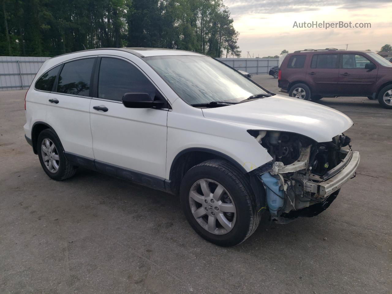 2009 Honda Cr-v Ex Белый vin: 5J6RE38599L012566