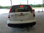 2009 Honda Cr-v Exl White vin: 5J6RE38749L003887