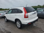 2009 Honda Cr-v Exl Black vin: 5J6RE38749L008622