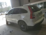 2009 Honda Cr-v Exl White vin: 5J6RE38759L018723