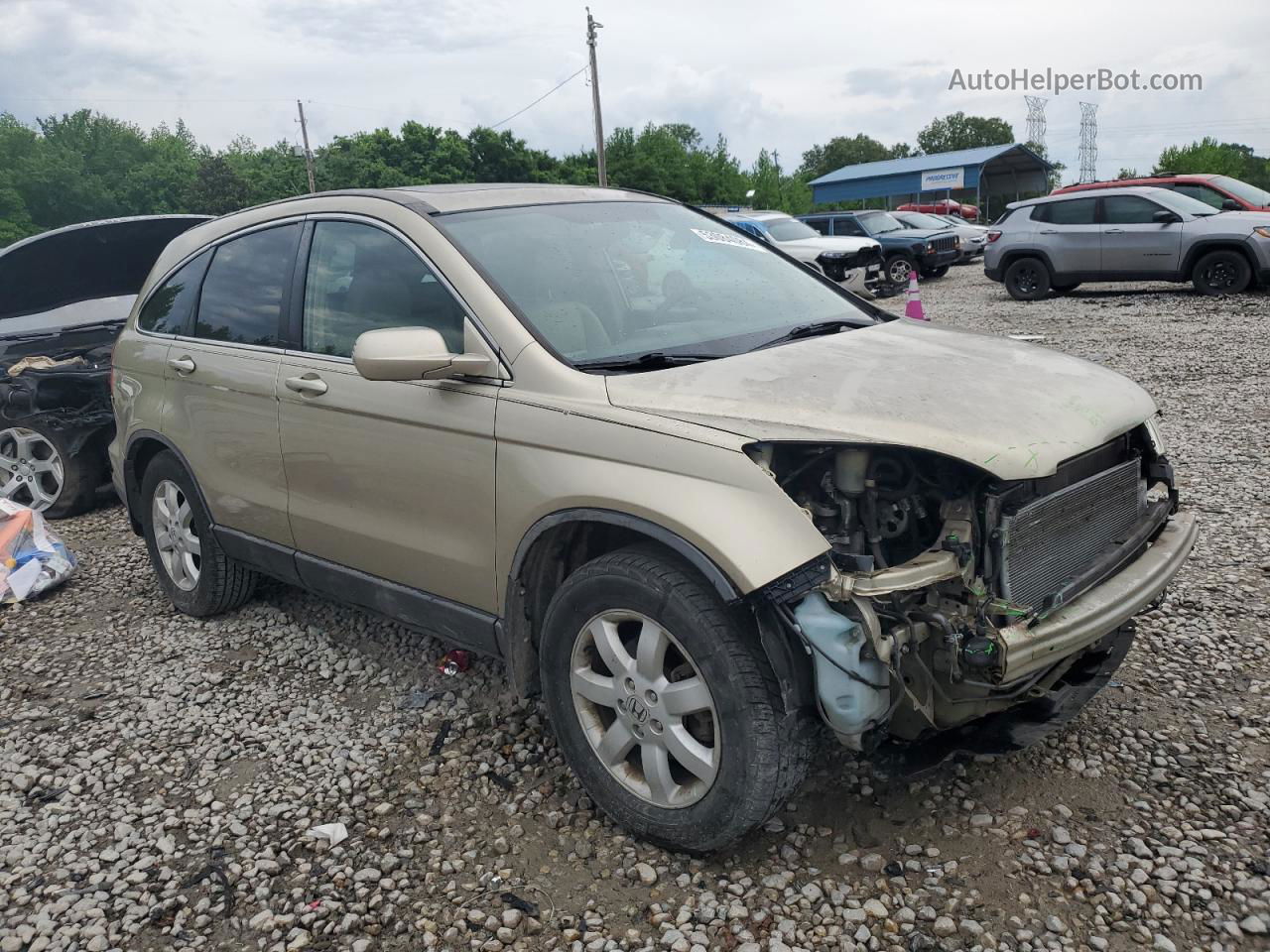 2009 Honda Cr-v Exl Beige vin: 5J6RE38759L019418