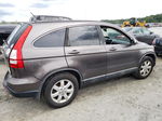 2009 Honda Cr-v Exl Gray vin: 5J6RE38759L025249