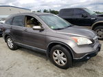 2009 Honda Cr-v Exl Gray vin: 5J6RE38759L025249