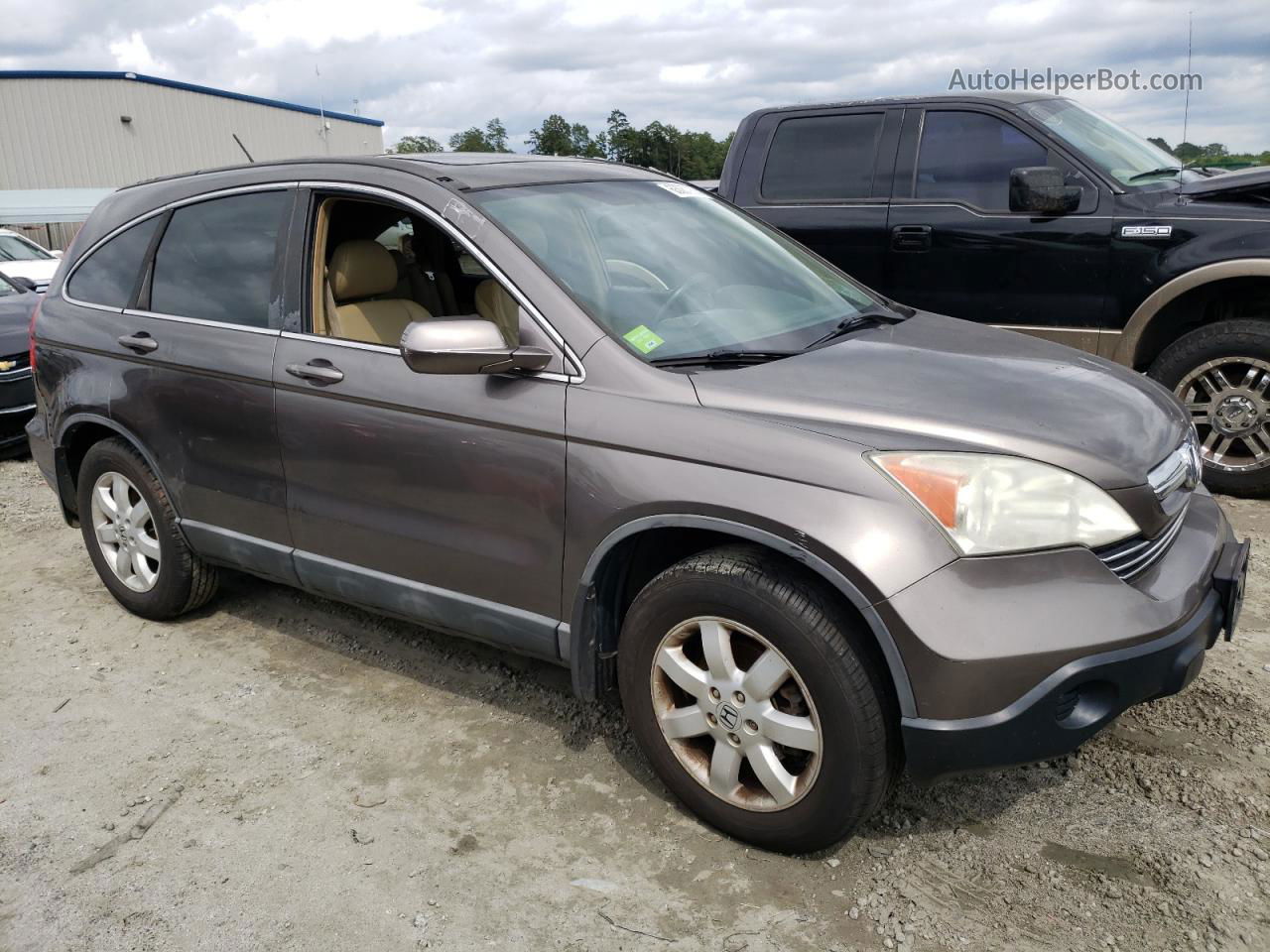 2009 Honda Cr-v Exl Gray vin: 5J6RE38759L025249