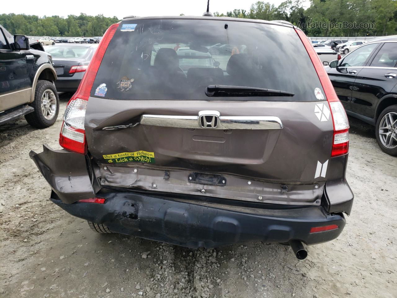 2009 Honda Cr-v Exl Gray vin: 5J6RE38759L025249