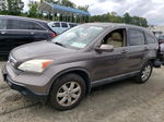 2009 Honda Cr-v Exl Gray vin: 5J6RE38759L025249