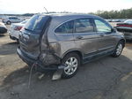 2009 Honda Cr-v Exl Gray vin: 5J6RE38769L002742