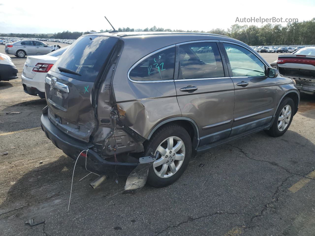 2009 Honda Cr-v Exl Gray vin: 5J6RE38769L002742