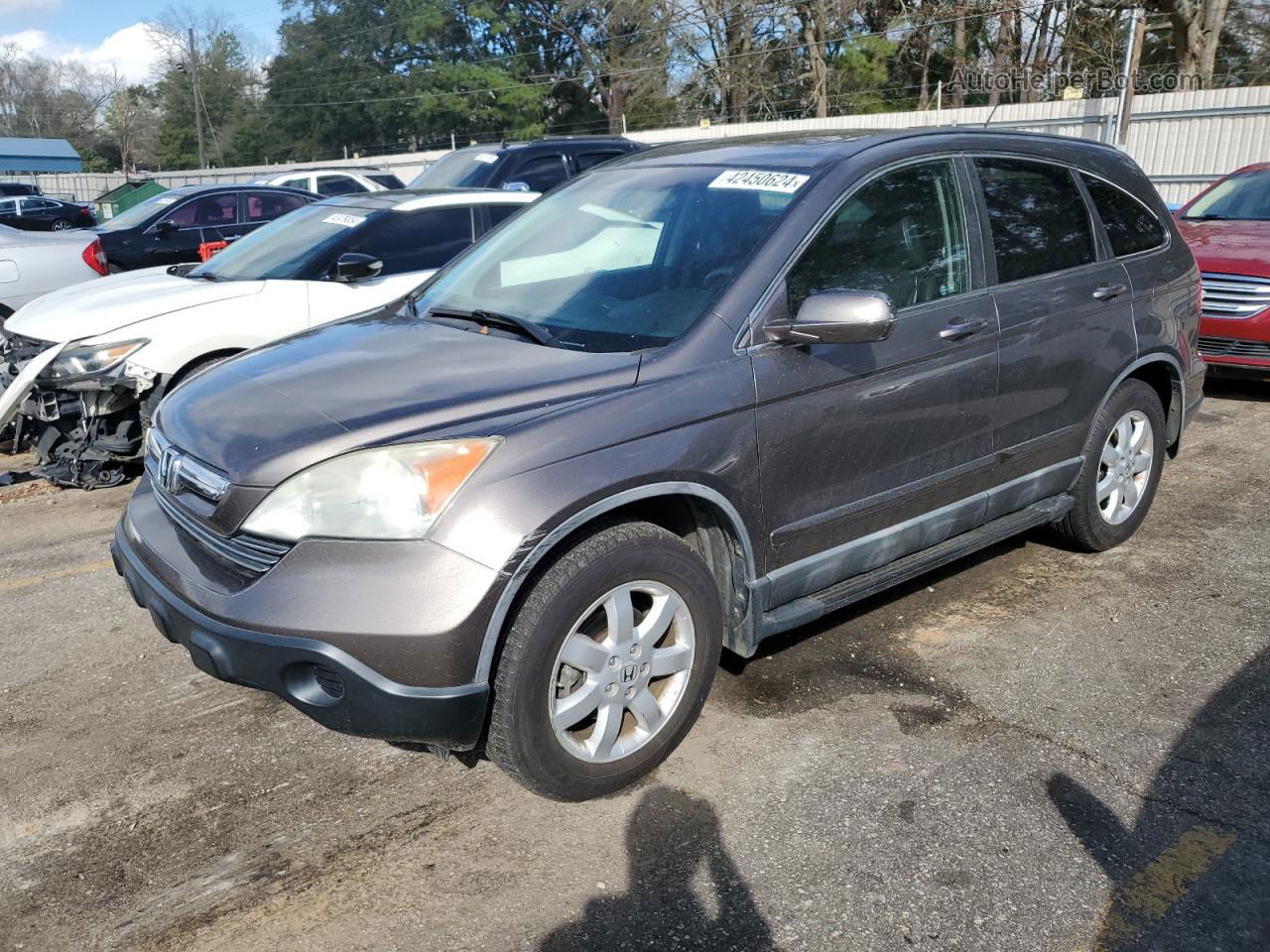 2009 Honda Cr-v Exl Gray vin: 5J6RE38769L002742