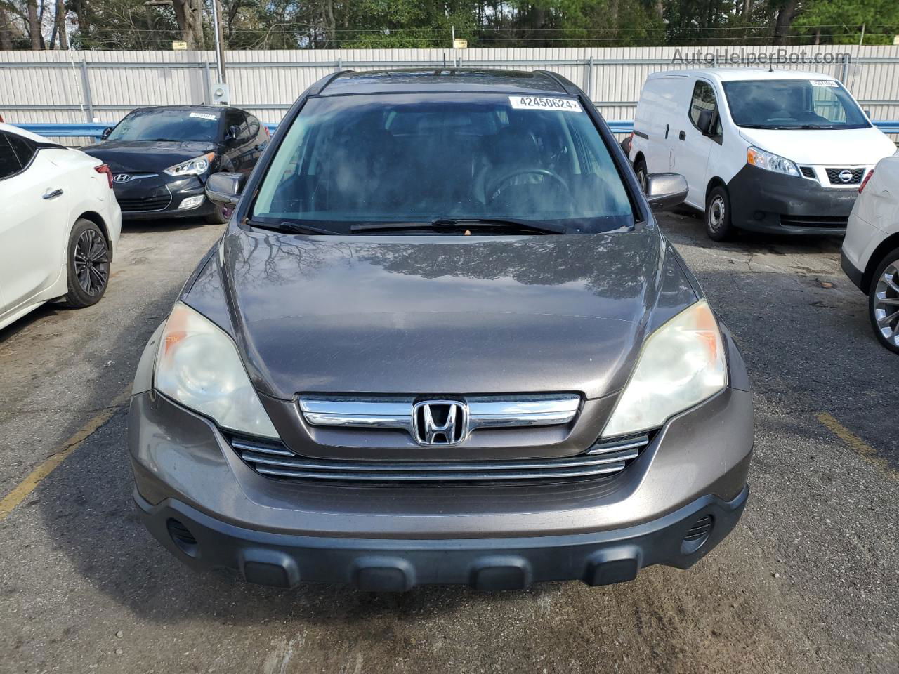 2009 Honda Cr-v Exl Gray vin: 5J6RE38769L002742