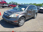 2009 Honda Cr-v Ex-l Silver vin: 5J6RE38769L026524