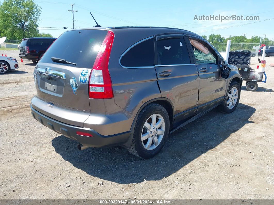 2009 Honda Cr-v Ex-l Silver vin: 5J6RE38769L026524