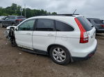 2009 Honda Cr-v Exl White vin: 5J6RE38769L035109