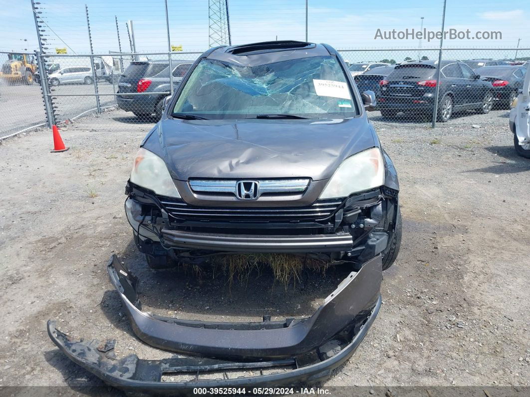 2009 Honda Cr-v Ex-l Gray vin: 5J6RE38779L022093