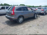 2009 Honda Cr-v Ex-l Gray vin: 5J6RE38779L022093