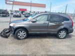 2009 Honda Cr-v Ex-l Gray vin: 5J6RE38779L022093