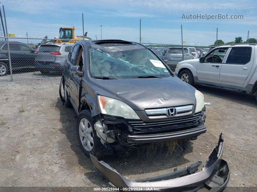 2009 Honda Cr-v Ex-l Gray vin: 5J6RE38779L022093