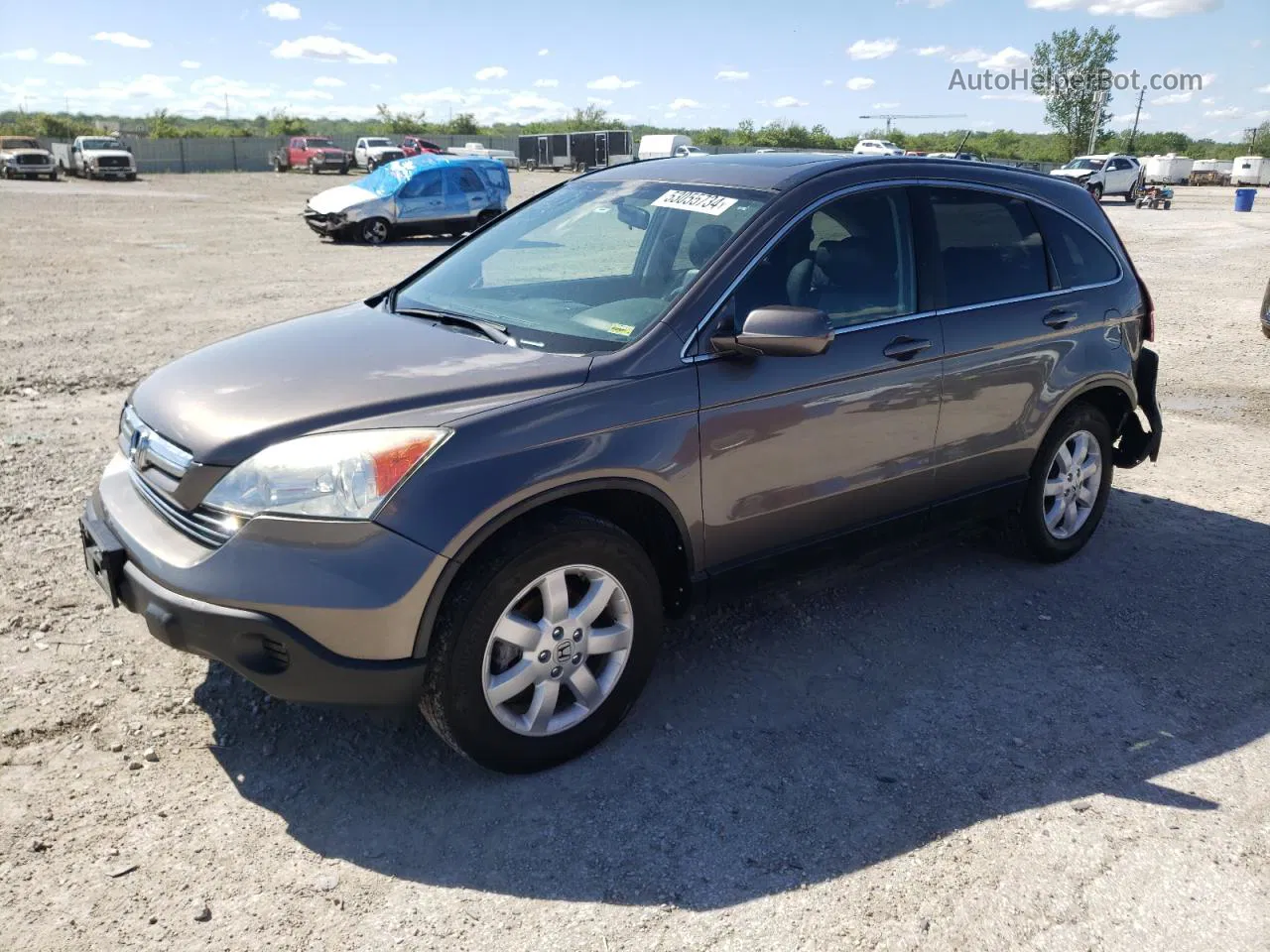 2009 Honda Cr-v Exl Gray vin: 5J6RE38799L013007