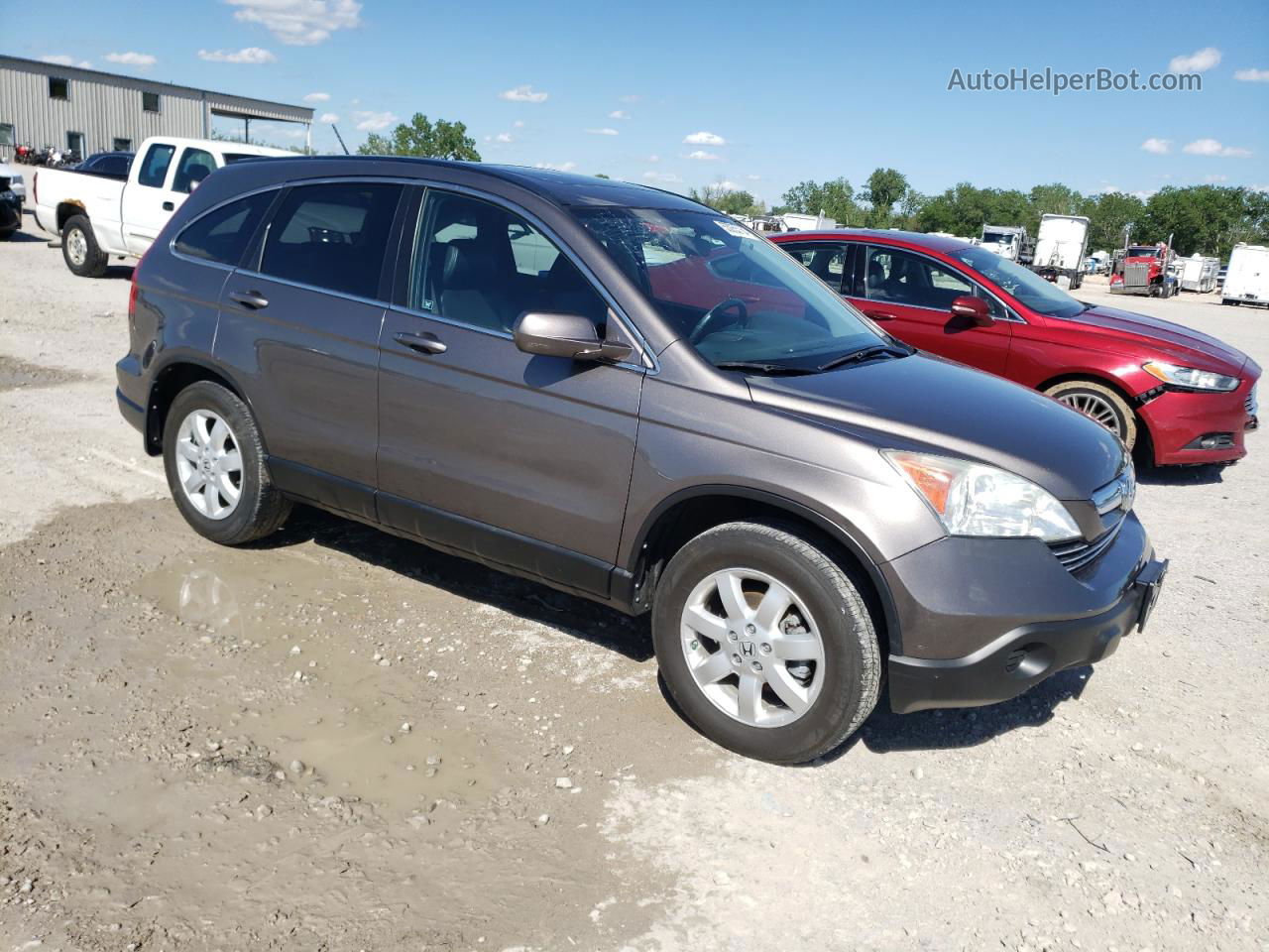 2009 Honda Cr-v Exl Gray vin: 5J6RE38799L013007