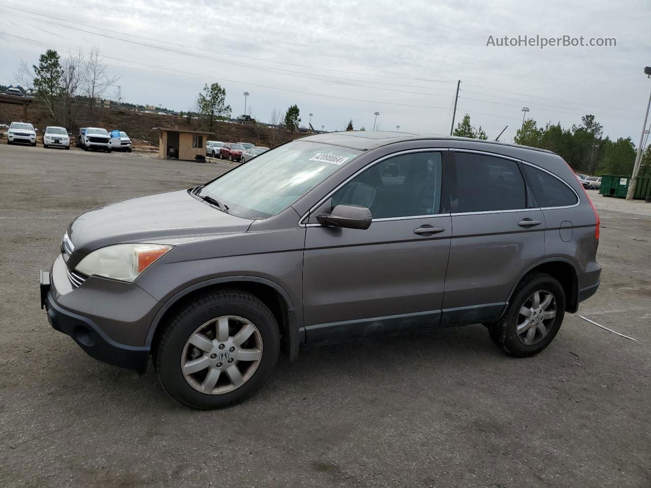 2009 Honda Cr-v Exl Gray vin: 5J6RE38799L022709