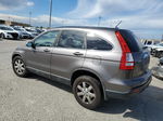 2009 Honda Cr-v Exl Gray vin: 5J6RE38799L022709