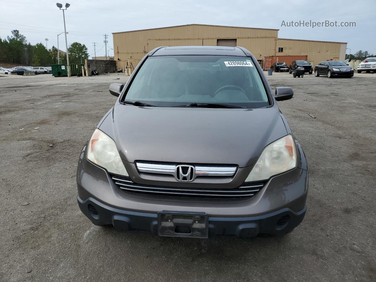 2009 Honda Cr-v Exl Gray vin: 5J6RE38799L022709