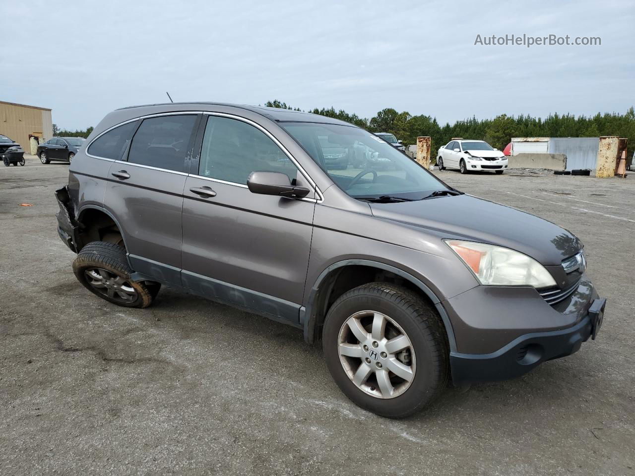 2009 Honda Cr-v Exl Gray vin: 5J6RE38799L022709