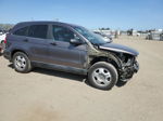 2010 Honda Cr-v Lx Gray vin: 5J6RE3H31AL041384