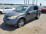 2010 Honda Cr-v Ex Gray vin: 5J6RE3H52AL031397