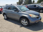 2010 Honda Cr-v Ex Серый vin: 5J6RE3H52AL031397