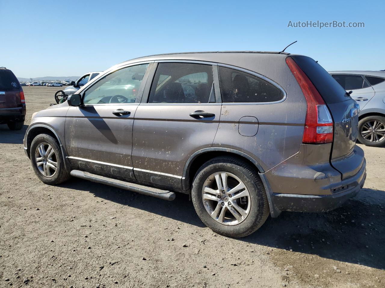 2010 Honda Cr-v Ex Gray vin: 5J6RE3H53AL037838