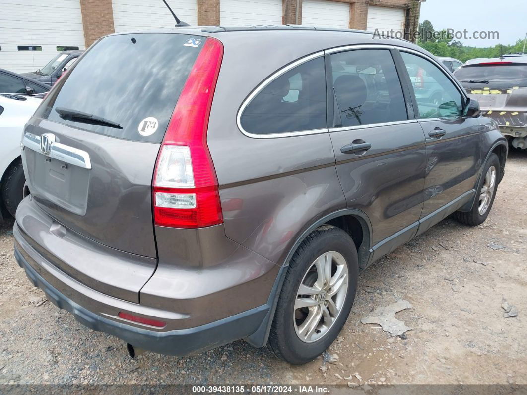 2010 Honda Cr-v Ex Gray vin: 5J6RE3H55AL044032