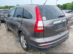 2010 Honda Cr-v Ex Gray vin: 5J6RE3H55AL044032