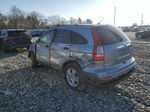 2010 Honda Cr-v Ex Blue vin: 5J6RE3H57AL015258