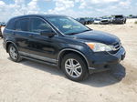 2010 Honda Cr-v Exl Black vin: 5J6RE3H70AL003468