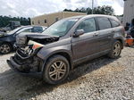 2010 Honda Cr-v Exl Gray vin: 5J6RE3H71AL010249