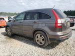 2010 Honda Cr-v Exl Gray vin: 5J6RE3H71AL010249