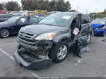 2010 Honda Cr-v Ex-l Gray vin: 5J6RE3H71AL016746