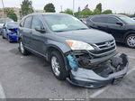 2010 Honda Cr-v Ex-l Gray vin: 5J6RE3H71AL016746