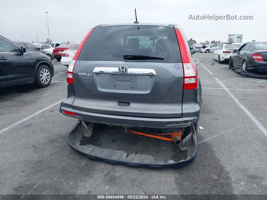 2010 Honda Cr-v Ex-l Gray vin: 5J6RE3H71AL016746