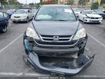 2010 Honda Cr-v Ex-l Gray vin: 5J6RE3H71AL016746